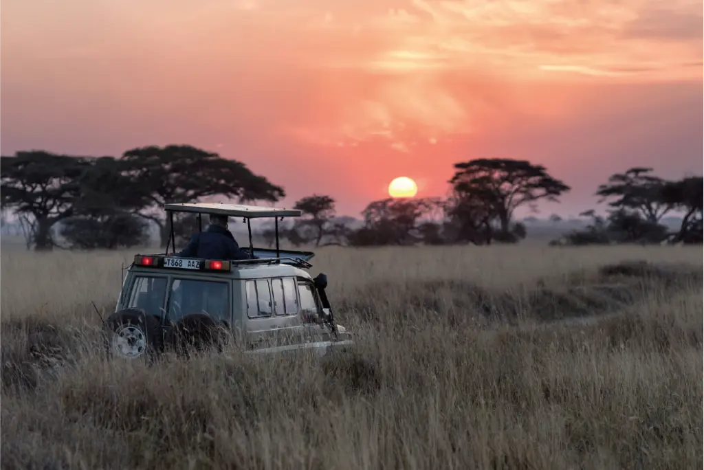 Safari África