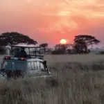 Safari África