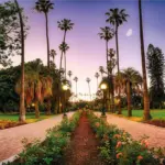 Beverly Hills