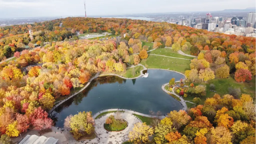 Mont Royal, Montréal